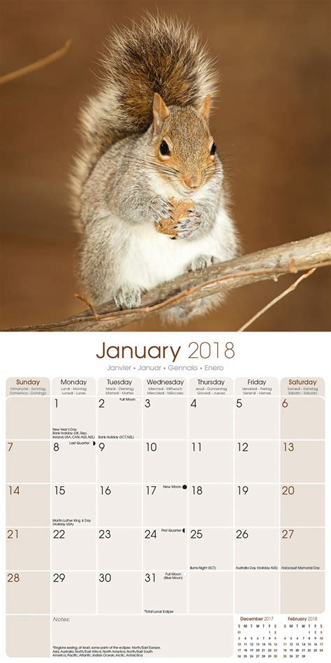 Squirrels Calendar 2018 Pet Prints Inc