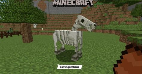 Minecraft Guide Tips To Tame Skeleton Horse In The Game