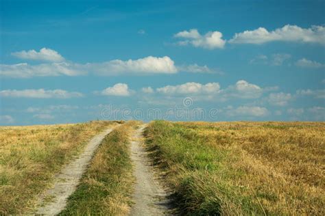 Dirt Road In The Field And White Clouds On A Blue Sky Stock Image