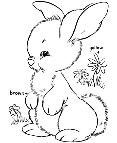 600x836 printable bunny coloring pages printable bunny coloring pages. Easter Bunny Coloring Pages | BlueBonkers - Cute bunny ...