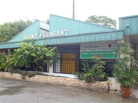 Should your pet require immediate medical attention after our regular hours, please contact the following emergency hospitals Animal Veterinary Clinic & Hospitals Singapore | The ...