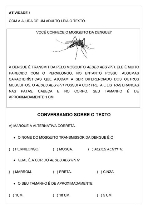 Atividade Dengue 5 Ano