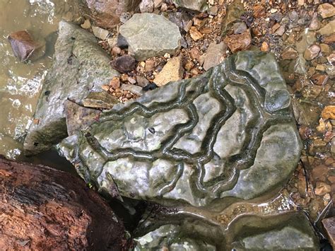 A Water-Carved Rock : mildlyinteresting