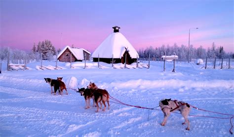 Live From Sweden Dog Sledding Ice Hotel Snowmobiling Wake And Wander