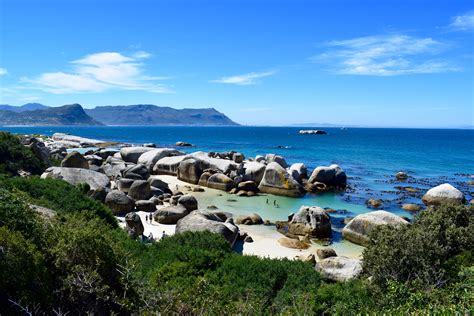 How To Visit The Penguins At Boulder Beach Cape Town Dont Dream