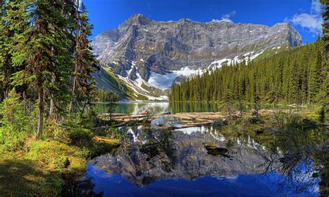 Nature Landscape Mountains River Pine Trees Forest Reflection