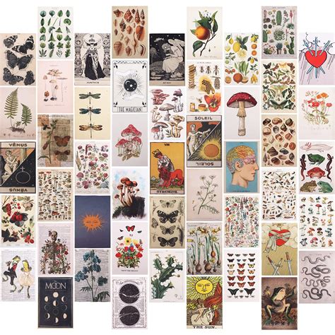 Buy Wall Collage Kit50 Pcs Vintage Botanical Wall Collage S Aesthetic