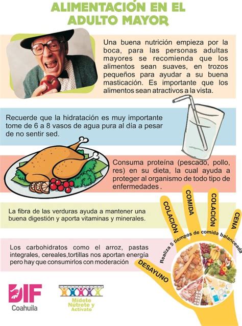 Blog Del Envejecimiento NutriciÓn En Adultos Mayores