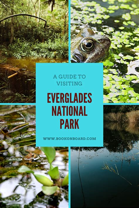 A Guide To Visiting Everglades National Park Florida Everglades