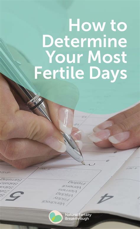 How To Determine Your Most Fertile Days Fertility Female Fertility