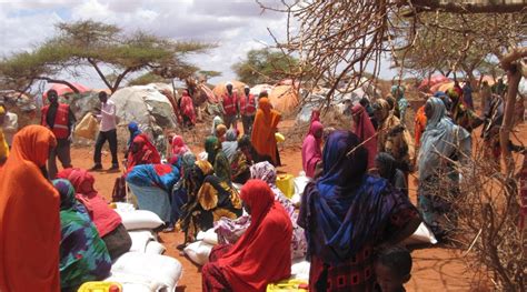 Located in the horn of africa, somalia is a country known for its widespread poverty, civil wars, territorial conflicts, and unstable government. Humanitarian response in conflict: lessons from South ...