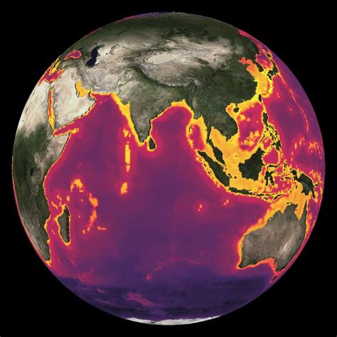 You can find some generalised information in : Fisheries Species Richness Dataset | Science On a Sphere