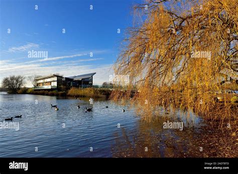 Attenborough Nature Reserve Centre Nottingham Uk Stock Photo Alamy