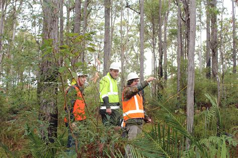 News And Events Wa And Vic Demonstrate Sustainable Forestry
