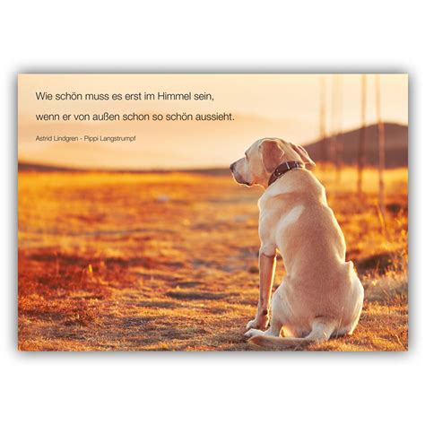Trauerkarte Hund Motiv 11 Im Ruhmservice Shop Für Tierärzte