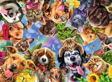 A wide selection of high quality pictures will bring many hours of fun to the whole family while playing free puzzle games. Animal Selfie | Adult Puzzles | Jigsaw Puzzles | Products ...