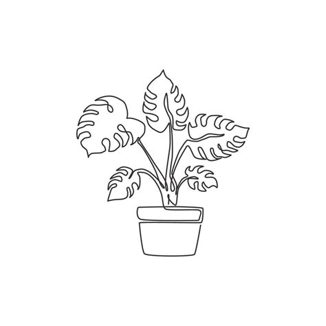 One Continuous Line Drawing Beauty Potted Tropical Leaf Monstera Plant