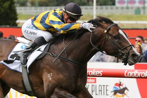 Sartorial Splendor To Resume In Rubiton Stakes At Caulfield Sports News Australia