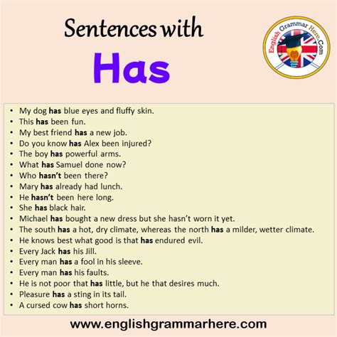 Sentences With Has Archives English Grammar Here