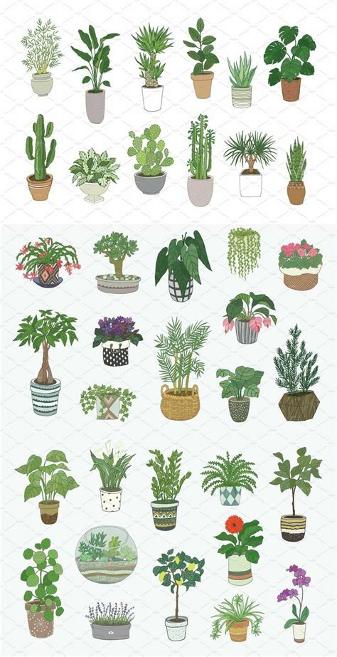 Sticker Design Desain Stiker Aesthetic Plant Drawing Plant Art