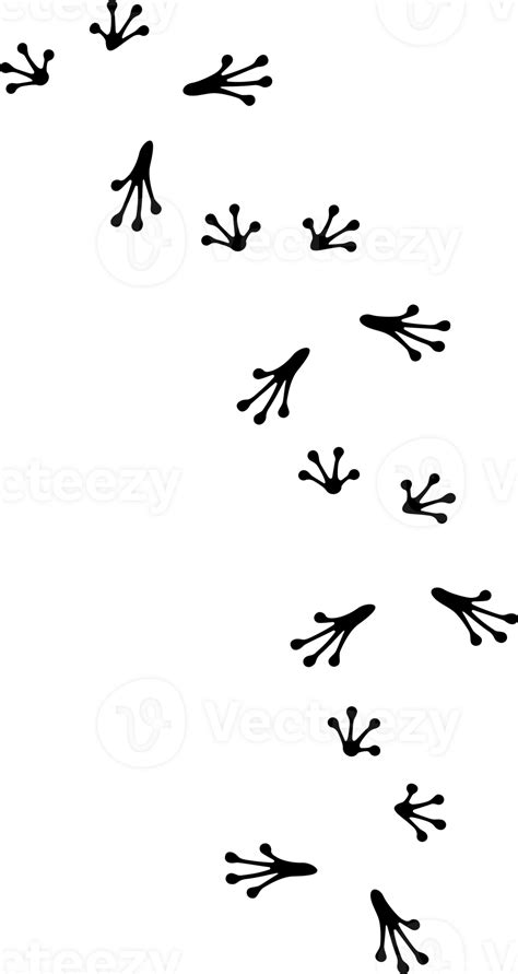 Frog Footprints Black And White Png Illustration 8513993 Png