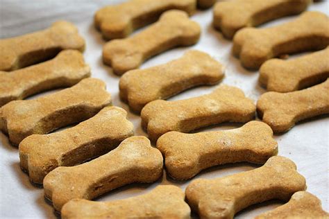 Add the coconut oil, banana and water and draw into a dough. Homemade Pumpkin and Peanut Butter Dog Treats Recipe ...