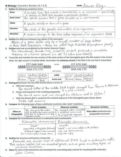 The term diploid is derived from the greek diplos meiosis occurs by a series of steps that resemble the steps of mitosis. Meiosis Review Worksheet - worksheet