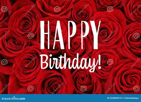 Happy Birthday Beautiful Red Roses As Background Closeup Stock Photo Image Of Plant Flowers