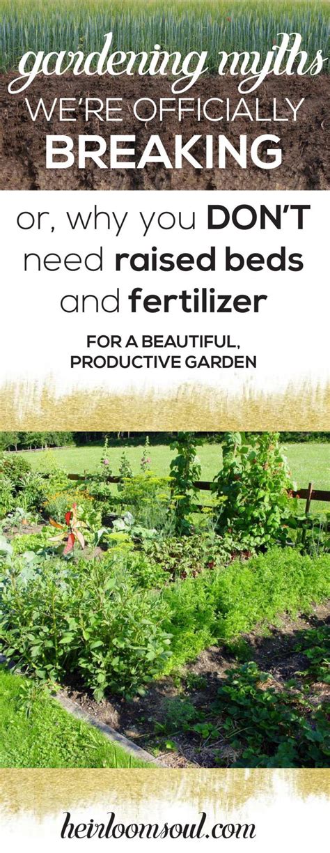 A boxspring is a support for your mattress that's manufactured to be the same size as the bed. Organic Gardening Myths We're Officially Breaking: Or, Why ...