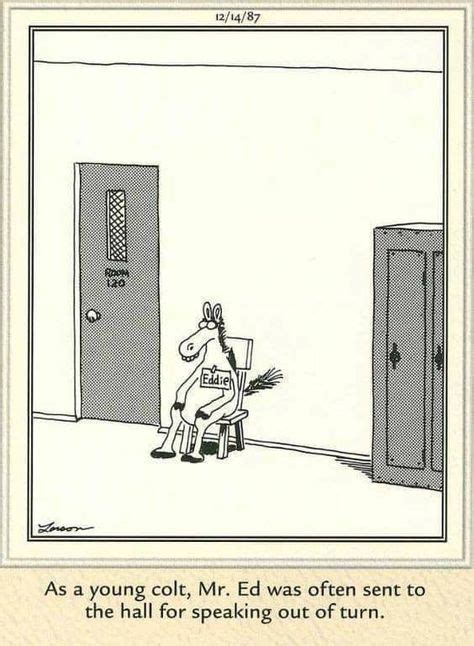 Pin By Alsosusieq2 On Horse Humor Or Just Good Words Far Side