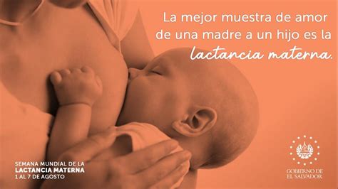 Total Imagen Frases Lindas Sobre La Lactancia Materna Abzlocal Mx