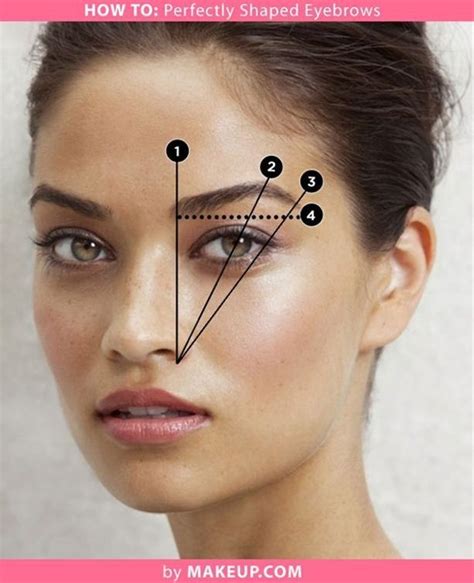 How To Get Perfectly Shaped Eyebrows Perfect Eyebrow Shape Perfect