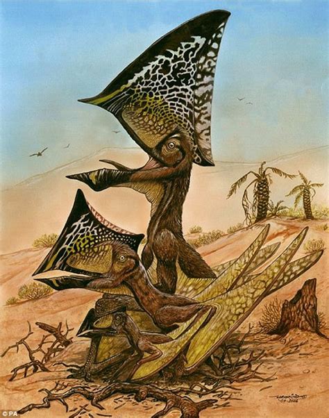 New Species Of Flying Pterosaur Discovered In Graveyard Containing 47 Fossilised Skeletons