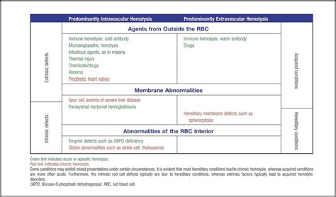 • mechanical trauma (microangiopathic hemolytic anemia): Introduction to Increased Destruction of Erythrocytes ...