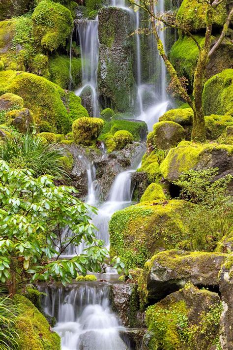 Waterfall At Japanese Garden In Spring Waterfall Beautiful Nature