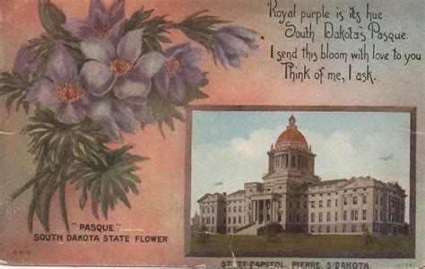 1908 Postcard Hagins Collection South Dakota State Vintage Postcards