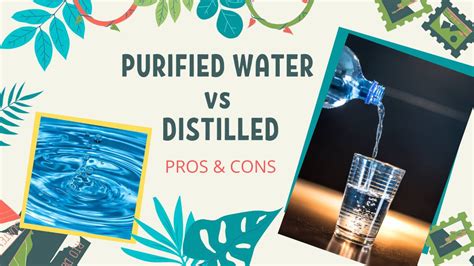 Purified Vs Distilled Water Can You Drink Distilled Water