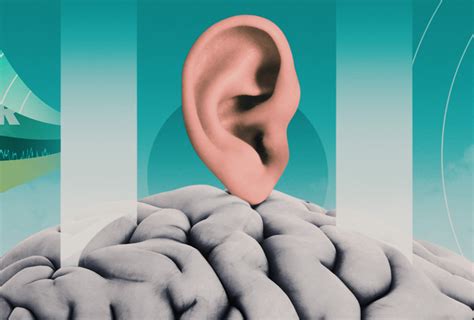 Confusion At The Crossroads Of Autism And Hearing Loss Spectrum