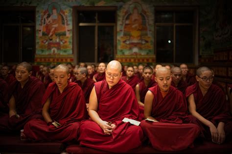 Women In Buddhism Seeking Enlightenment And Equality