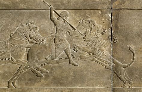 Relief Depicting Ashurbanipal Hunting A Lion 645 635 B C The