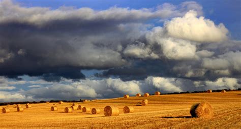 Harvest time photo & image | landscape, fields & meadows, landscapes ...