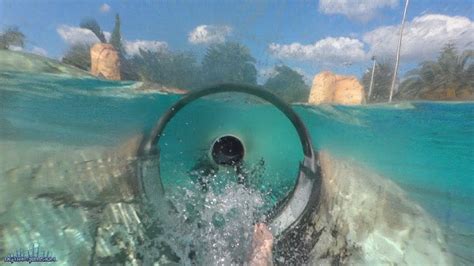 Dolphin Plunge Body Slide Both Slides Hd Povs Aquatica Seaworld Water