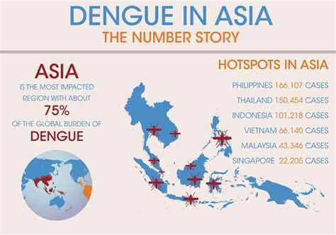 From the 1960s dengue in malaysia, dengue is predominantly an urban disease due to the abundance of the principle vector aedes aegypti which is at a close proximity to. First dengue vaccine out by July next year | Inquirer Business