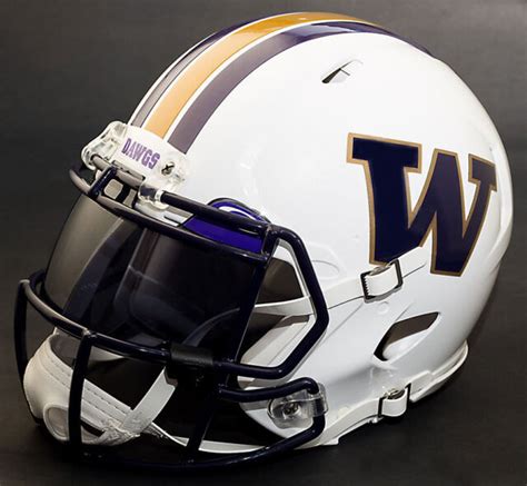 Washington Huskies Ncaa Authentic Gameday Football Helmet W Oakley Eye