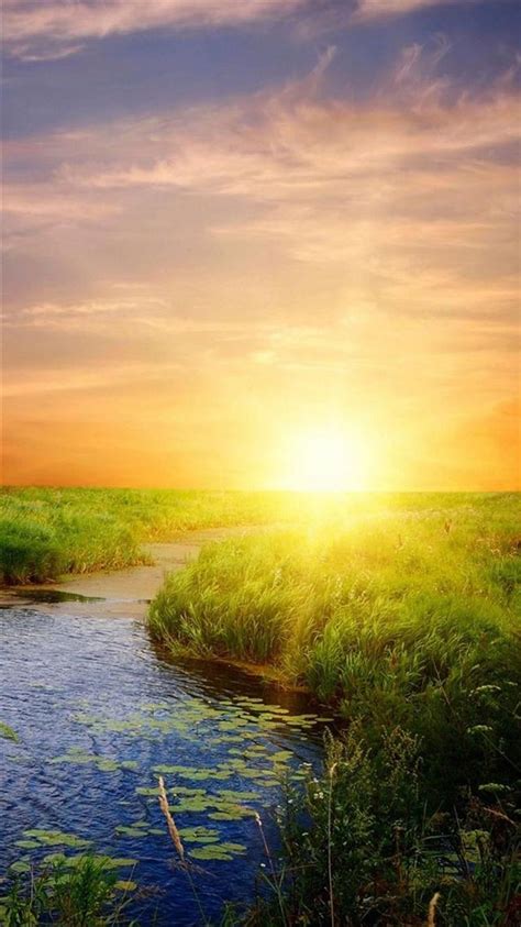 Nature Sunrise Bright Lake Field Landscape Iphone 8 Wallpapers Free