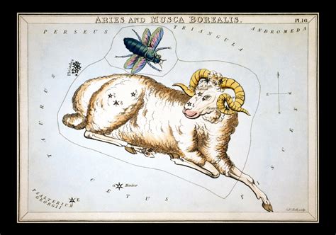 Aries Vintage Zodiac Art Print Free Stock Photo Public Domain Pictures