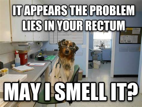 Bahahahaha Veterinary Humor Vet Tech Humor Veterinary Memes