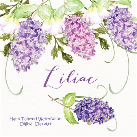 Watercolor Lilac Flowers Clipart Spring Flower Clipart