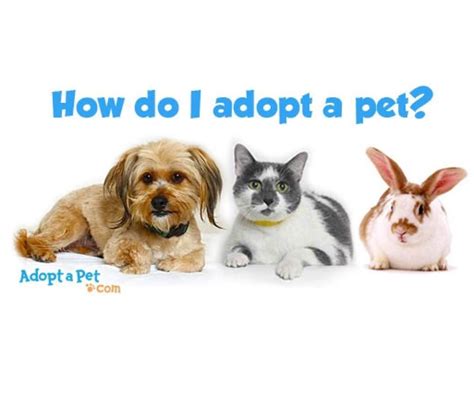 Adopt A Pet Com On Instagram Whats The Difference Between A Shelter