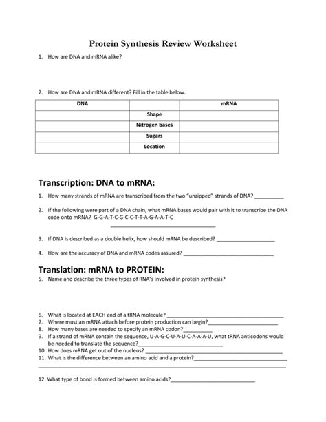 Be sure to include the locations of mrna, trna, each subunit of the ribosome, and once mrna is created through transcription, it is often processed by 5' capping, cleavage and polyadenylation a. Protein Synthesis Review Worksheet Transcription: DNA to mRNA
